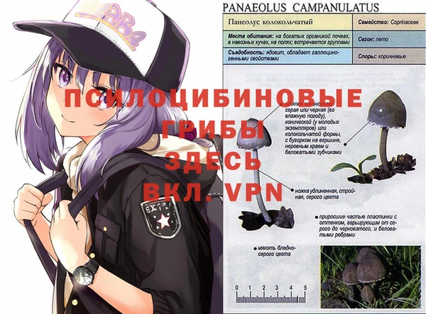 экстази Баксан