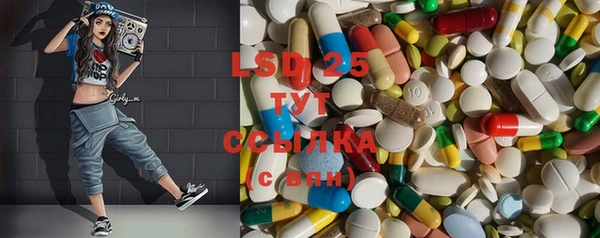 ГАЛЛЮЦИНОГЕННЫЕ ГРИБЫ Балахна