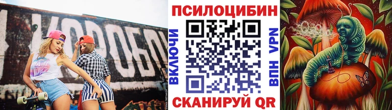 Галлюциногенные грибы Cubensis  сколько стоит  Северо-Курильск 